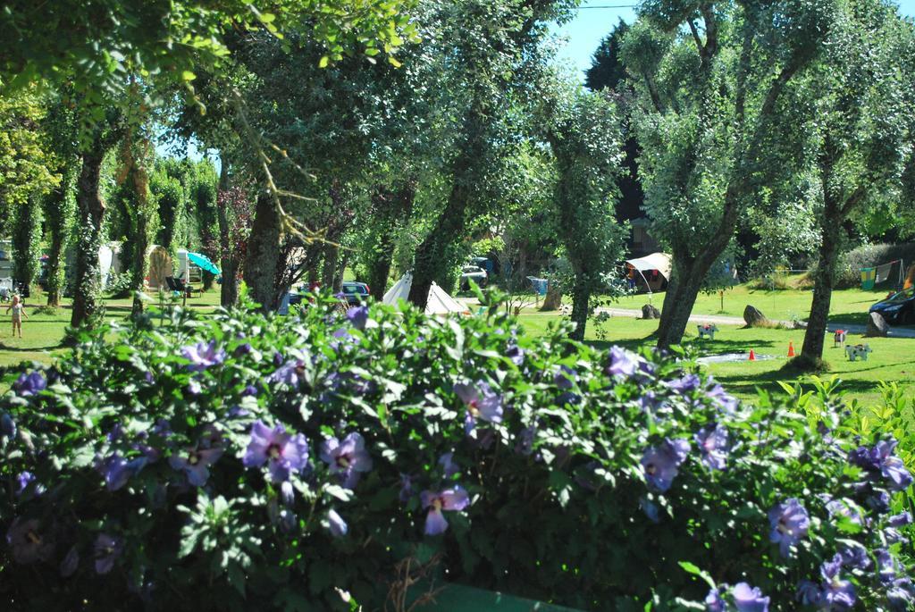 Camping Les Tournesols Sillé-le-Guillaume Esterno foto