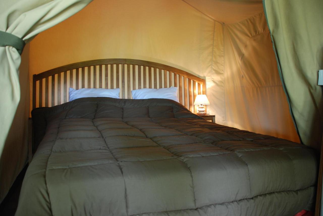 Camping Les Tournesols Sillé-le-Guillaume Esterno foto