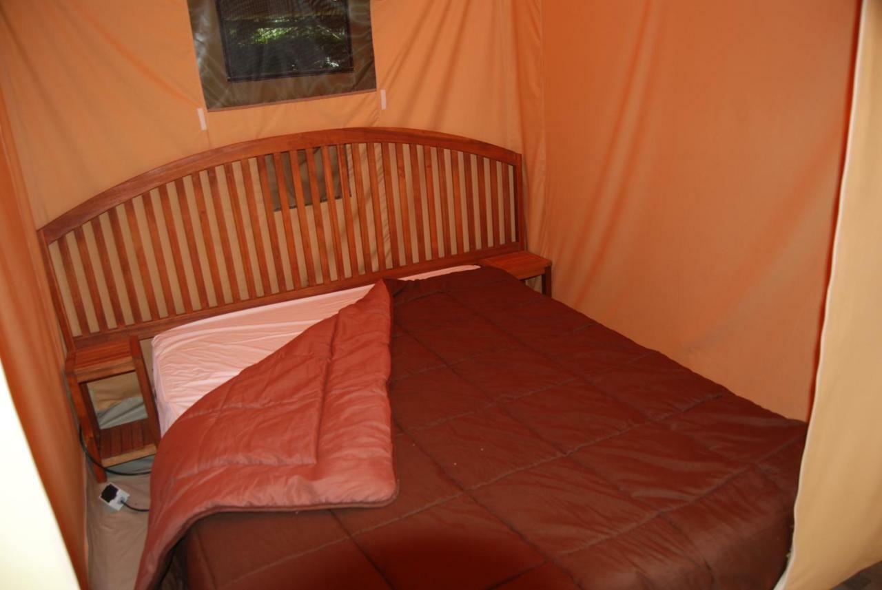 Camping Les Tournesols Sillé-le-Guillaume Esterno foto